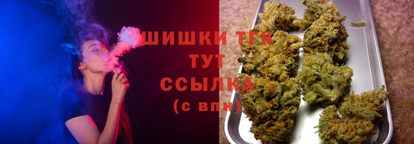 2c-b Инта