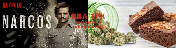 PSILOCYBIN Инсар