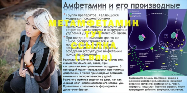 PSILOCYBIN Инсар