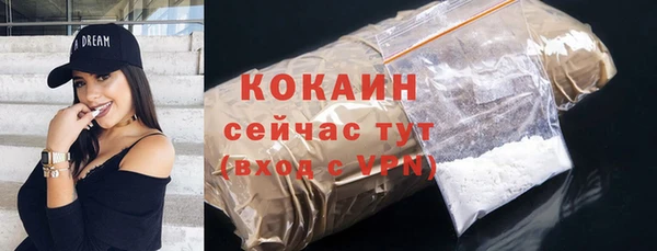 2c-b Инта