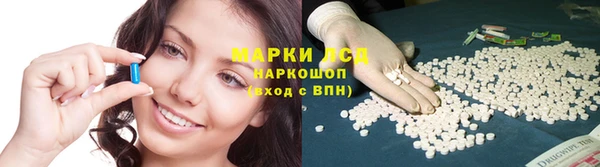 PSILOCYBIN Инсар