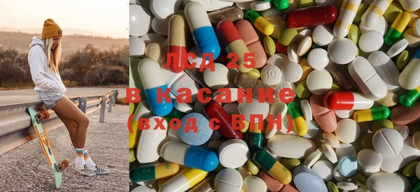 PSILOCYBIN Инсар