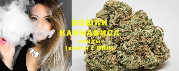 2c-b Инта