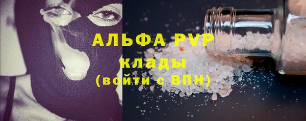PSILOCYBIN Инсар