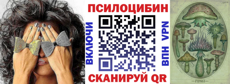 цена наркотик Славск Галлюциногенные грибы GOLDEN TEACHER