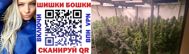 Шишки марихуана конопля  продажа наркотиков  Славск 